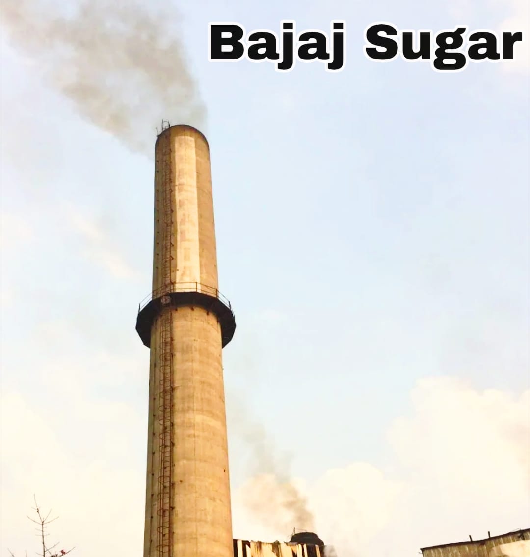 Bajaj Hindusthan Sugar Sees Unusual Volume Surge: Boom Ahead or Warning Sign?